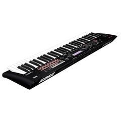 Korg Synthesizers Korg KROSS 2 Synthesizer - 61 key with Adapter