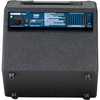 Laney Bass Combo Amplifiers Laney RB1 Richter 15 Watts Combo Bass Guitar Amplifier #color_blue