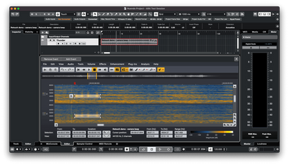 Acon Acoustica 7 Premium Spectral Audio Editor