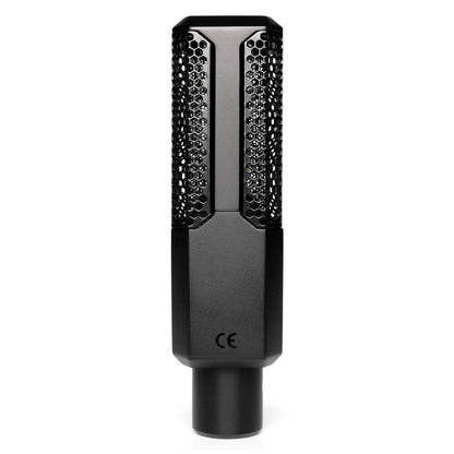 lewitt condenser microphones lewitt lct 441 flex large-diaphragm condenser microphone