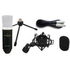 Marantz Condenser Microphones Marantz MPM-1000 Large Diaphragm Condenser Microphone