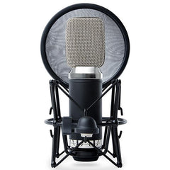 Marantz Condenser Microphones Marantz MPM-3500R Ribbon Condenser Microphone with Ultra Low-Mass Diaphragm