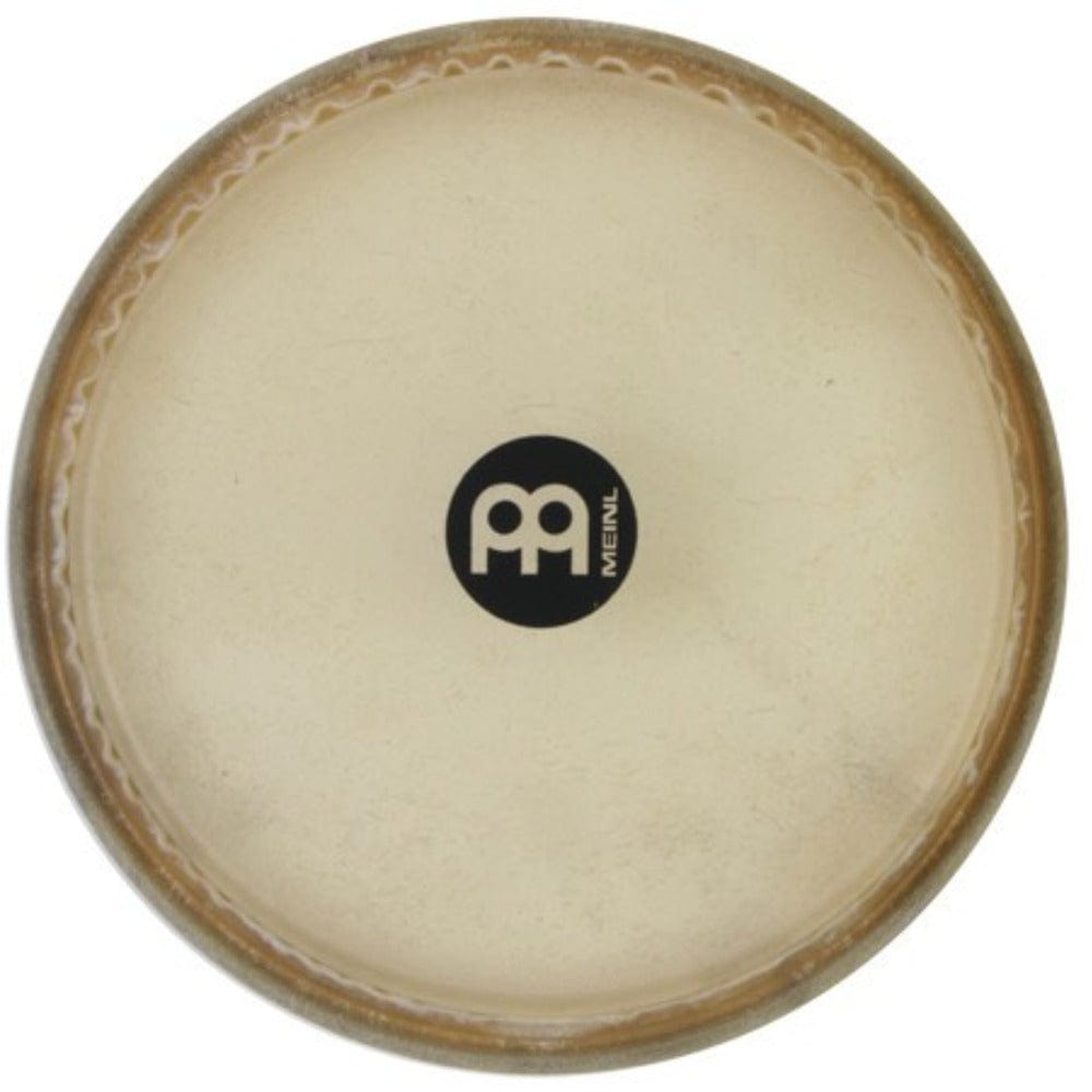 Meinl Bongo Heads Meinl TS-C-12 9" True Skin Bongo Head