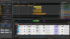 Acoustica Mixcraft 10.5 Pro Studio Academic Professional Multi-Track Recording Suite