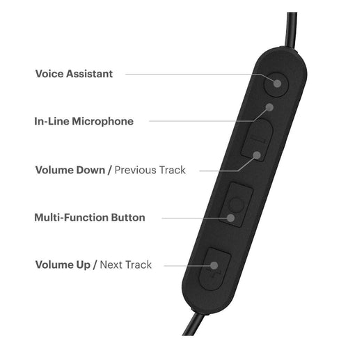 Noise tune sport earphones cheap