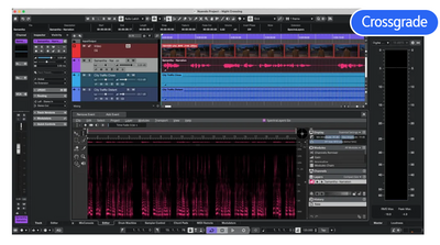 Nuendo 15 Crossgrade from Cubase