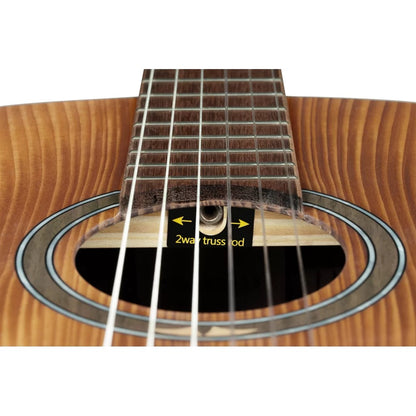 Ortega Acoustic Guitars Dark Brown Ortega R23RO Thermo Series Acoustic Guitar with Bag