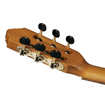 Ortega Acoustic Guitars Dark Brown Ortega R23RO Thermo Series Acoustic Guitar with Bag 