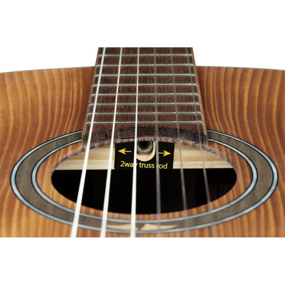 Ortega Acoustic Guitars Dark Brown Ortega R23RO Thermo Series Acoustic Guitar with Bag 