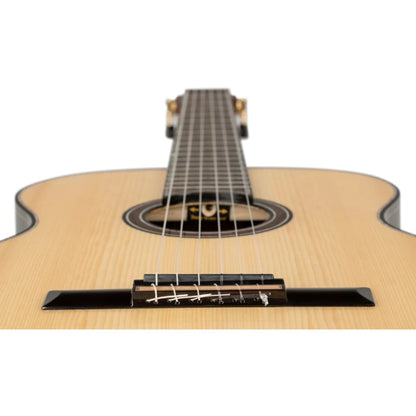 Ortega Classical Guitars Ortega GRANDSUITE 6 String Classical Guitar with Bag