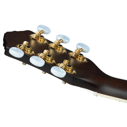 Ortega Classical Guitars Stained Red Ortega RRA-SRT Ranger Series Classical Guitar 