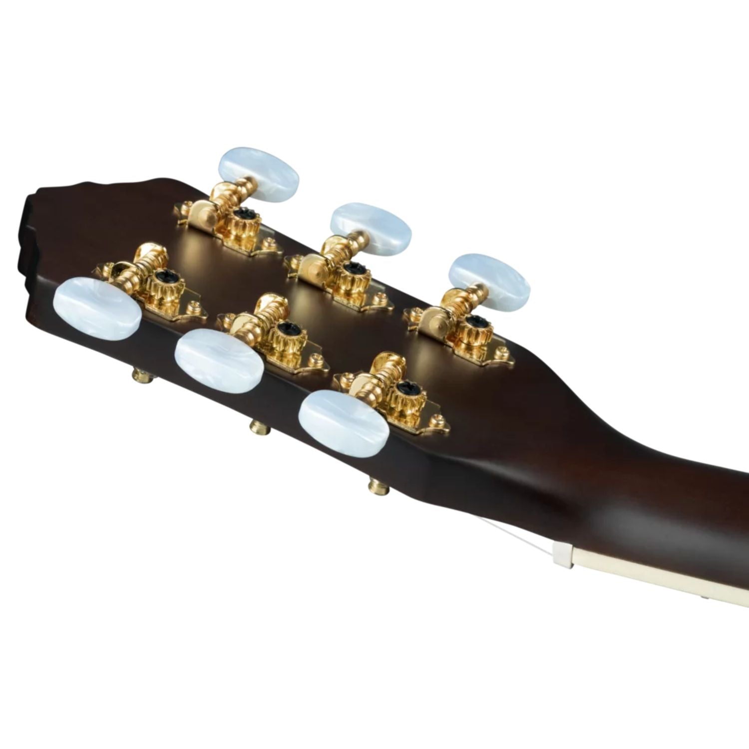 Ortega Classical Guitars Stained Red Ortega RRA-SRT Ranger Series Classical Guitar 