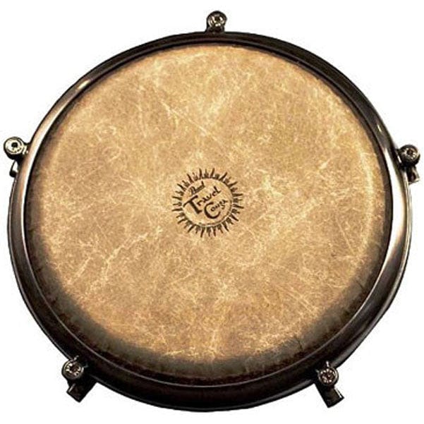Pearl Congas Pearl PTC-1175 Travel Conga