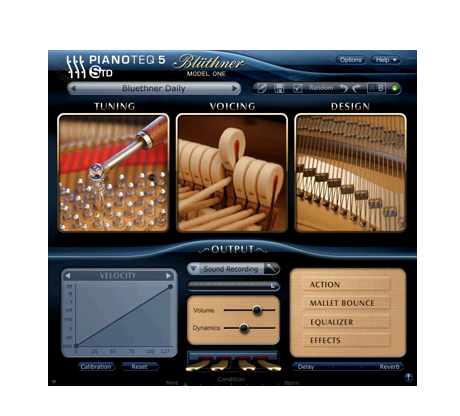 PIANOTEQ Virtual Instruments Pianoteq Bluthner Model 1: Premium Grand Piano