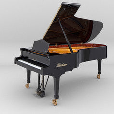 PIANOTEQ Virtual Instruments Pianoteq Bluthner Model 1: Premium Grand Piano
