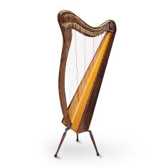 PIANOTEQ Virtual Instruments Pianoteq Harps: Concert and Celtic Harps