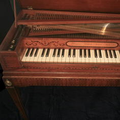 PIANOTEQ Virtual Instruments Pianoteq Karsten Collection: Historical Instruments