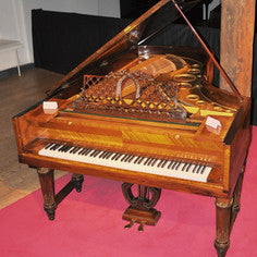 PIANOTEQ Virtual Instruments Pianoteq Kremsegg Collection 2: Historical Pianos
