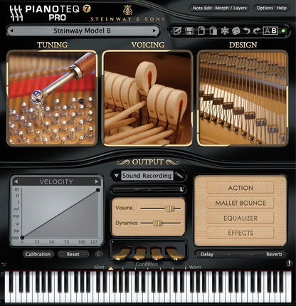 PIANOTEQ Virtual Instruments Pianoteq Steinway Model B: Iconic Grand Piano