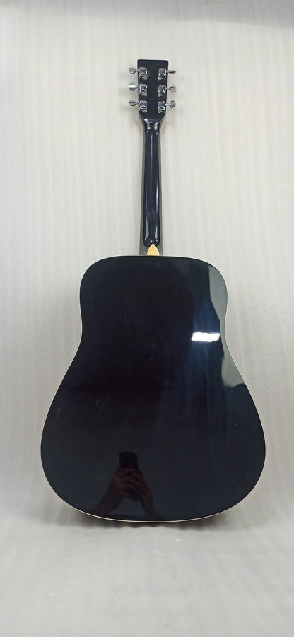 Pluto Acoustic Guitars 2.02401E+11 Pluto HW41-201 Jumbo Acoustic Guitar - Open Box B Stock