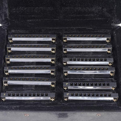 pluto harmonicas pluto jh1020-12 harmonica set