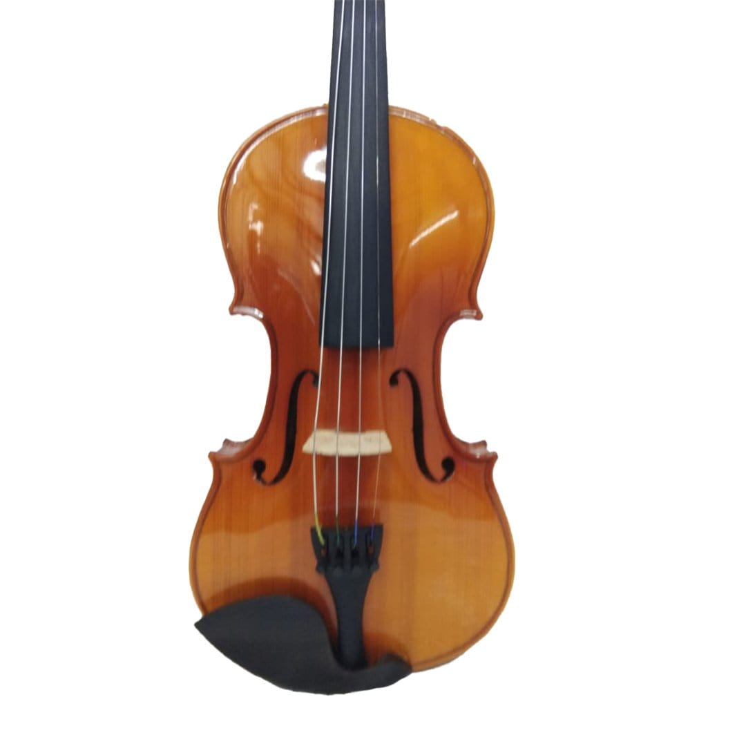 pluto violins pluto 4/4 size violin with bag