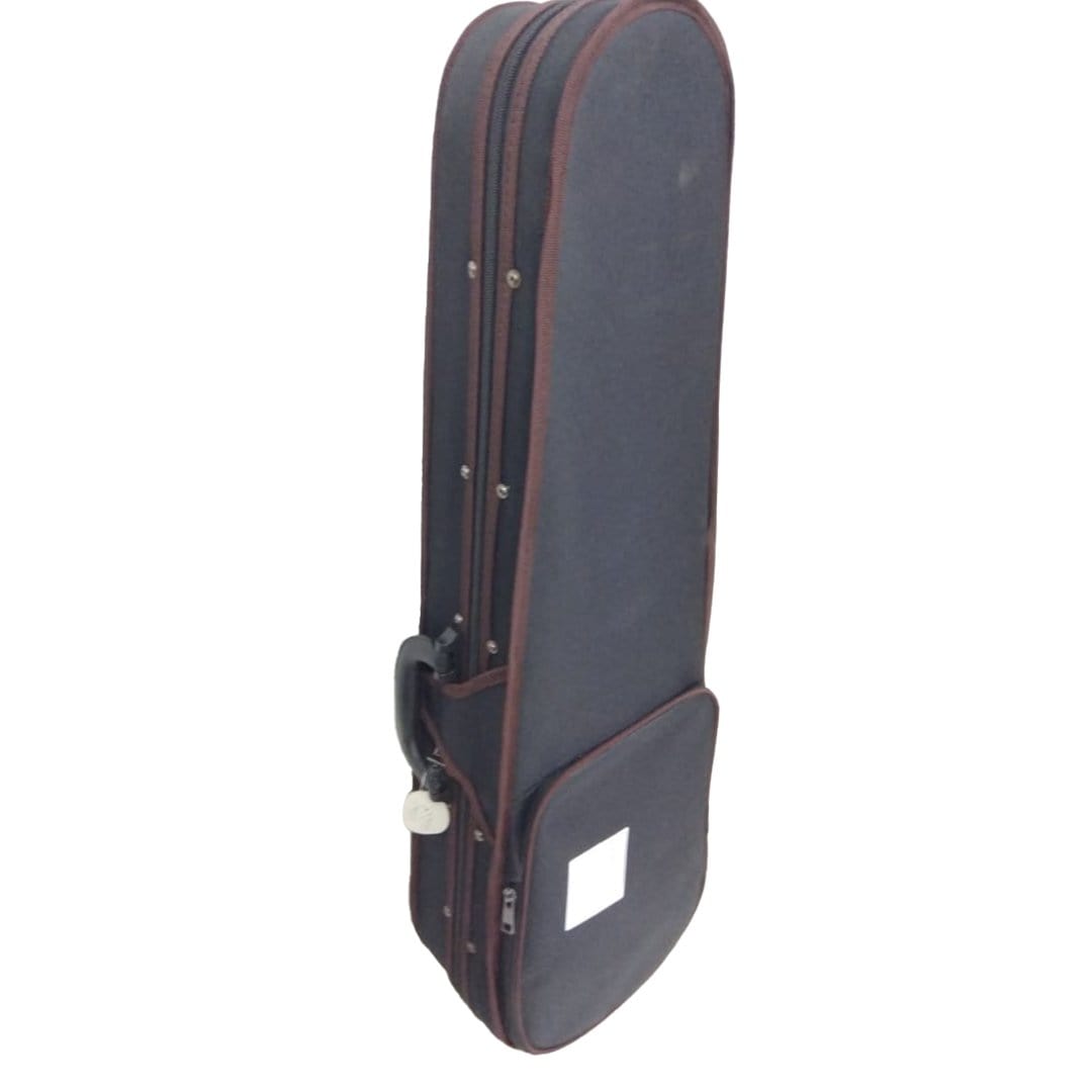 pluto violins pluto 4/4 size violin with bag