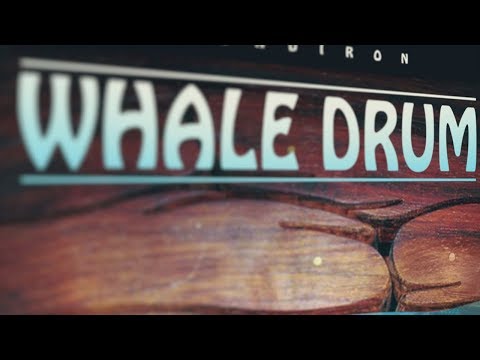 Soundiron Whale Drum