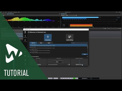 WaveLab Cast 12 Full Version