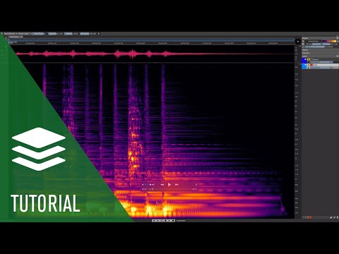 SpectraLayers Elements 13 Full Version