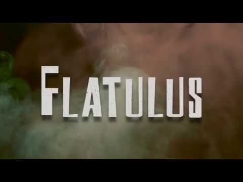Soundiron Flatulus