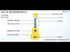 Vault UK-003 Soprano Colourful Ukulele 21 inch With Gig Bag