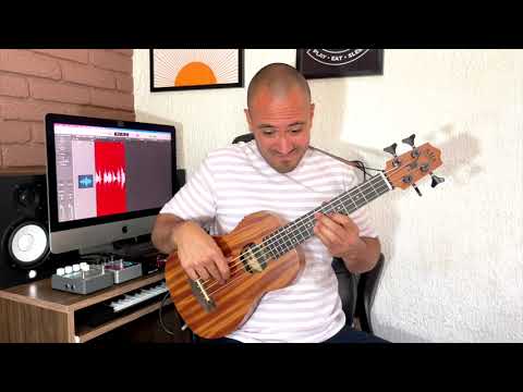 Kala Wanderer Acoustic-Electric U Bass