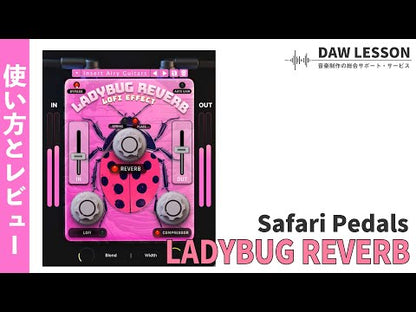 Safari Pedals LadyBug Reverb