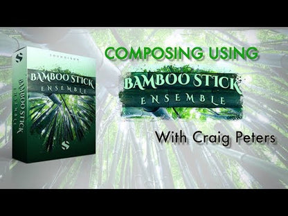 Soundiron Bamboo Stick Ensemble