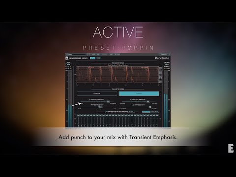 Newfangled Audio Punctuate