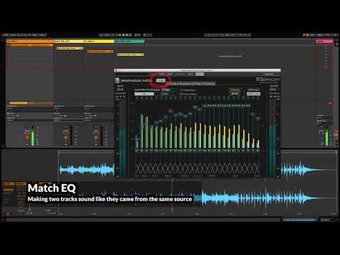 Newfangled Audio EQuivocate