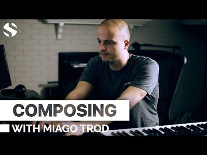 Soundiron Hopkin Instrumentarium: Miago Trod
