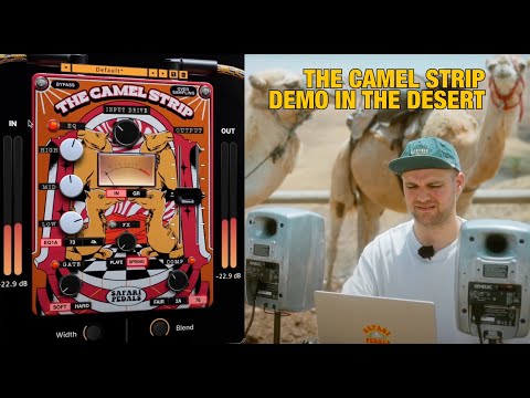 Safari Pedals The Camel Strip