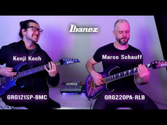 Ibanez GRG220PA1 RG Gio Series 6 String Electric Guitar