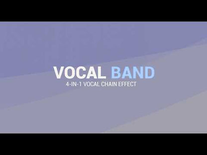 Ice Audio Vocal Band