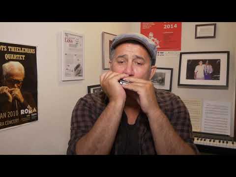 Suzuki SCX 64 Deluxe Chromatix Harmonica