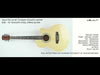 Vault EA20 Guitar Kit with Learn to Play Ebook, Bag, Strings, Straps, Picks, String winder & Polishing Cloth - 40 inch Cutaway Acoustic Guitar