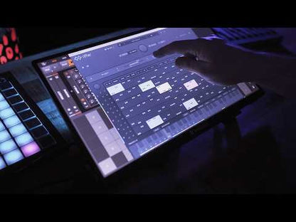 Audio Modern Riffer 4
