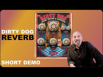 Safari Pedals Dirty Dog Reverb