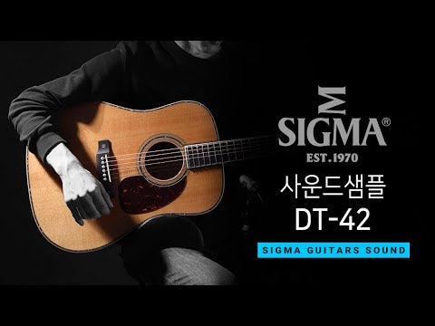 Sigma DT-42 6 String Acoustic Guitar with Case