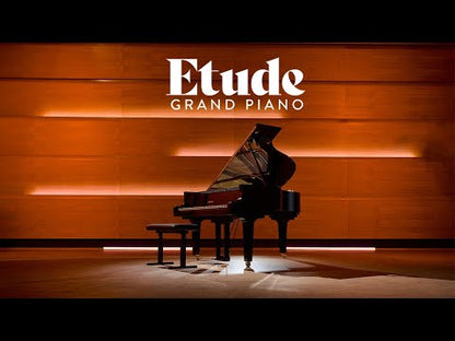 VST Instruments Etude