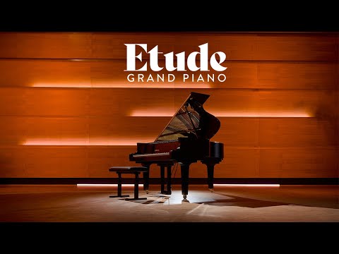 VST Instruments Etude