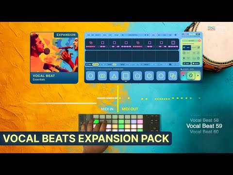 Pitch Innovations Vocal Beat Essentials