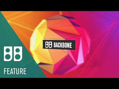 VST Instruments Backbone